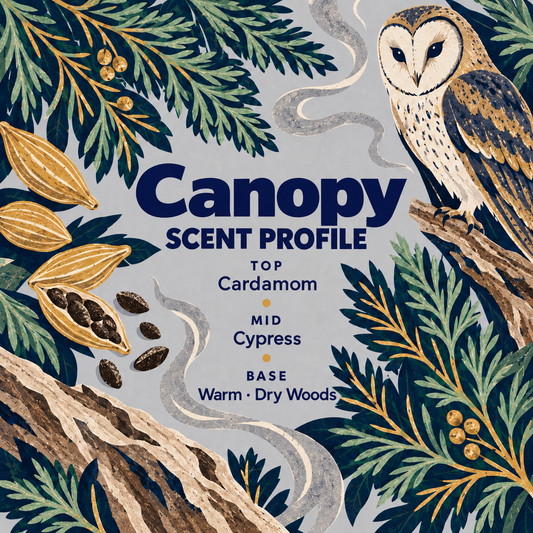 Natural Solid Cologne – Cypress & Cardamom Scent | Canopy by Eden & Era