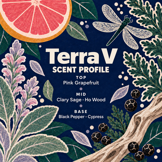 Natural Solid Perfume – Cypress, Black Pepper & Citrus Scent | Terra V by Eden & Era